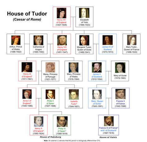 the house of tudor